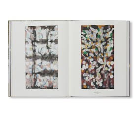 CORPLEGADOS AND PARTICLES